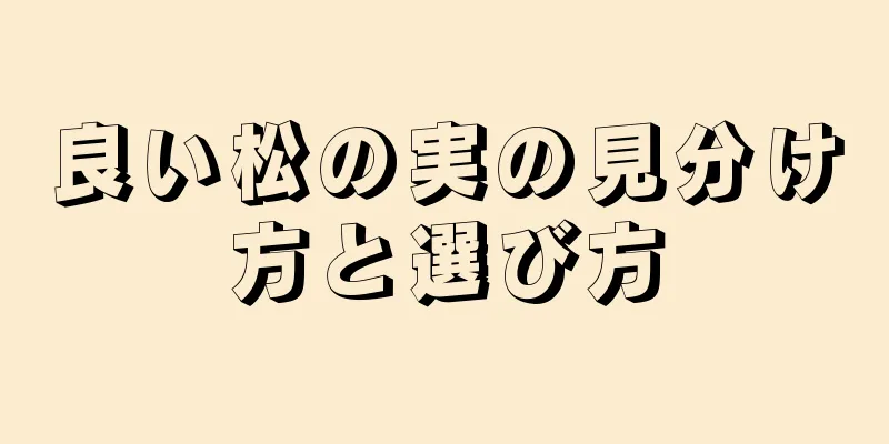 良い松の実の見分け方と選び方