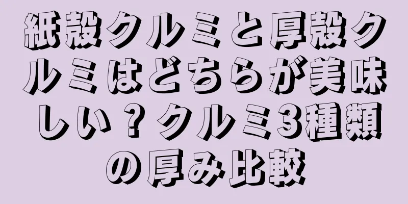 紙殻クルミと厚殻クルミはどちらが美味しい？クルミ3種類の厚み比較