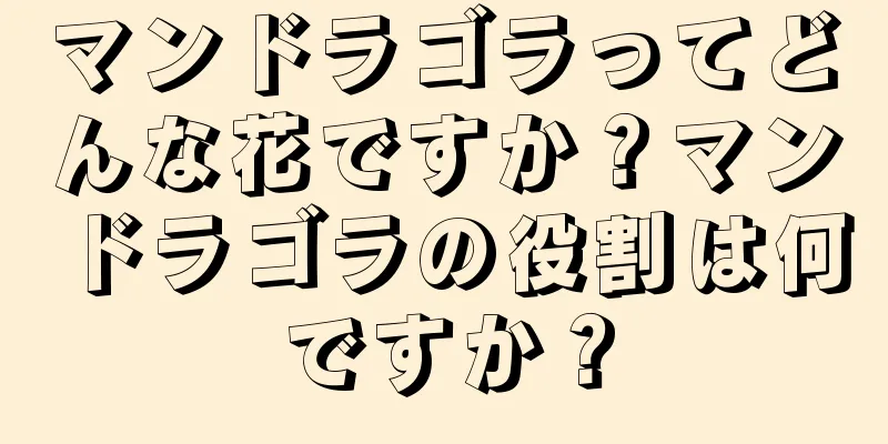 マンドラゴラってどんな花ですか？マンドラゴラの役割は何ですか？