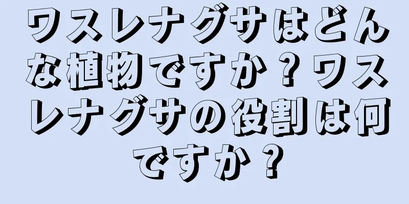 ワスレナグサはどんな植物ですか？ワスレナグサの役割は何ですか？