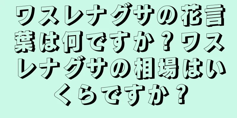 ワスレナグサの花言葉は何ですか？ワスレナグサの相場はいくらですか？