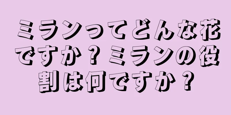 ミランってどんな花ですか？ミランの役割は何ですか？