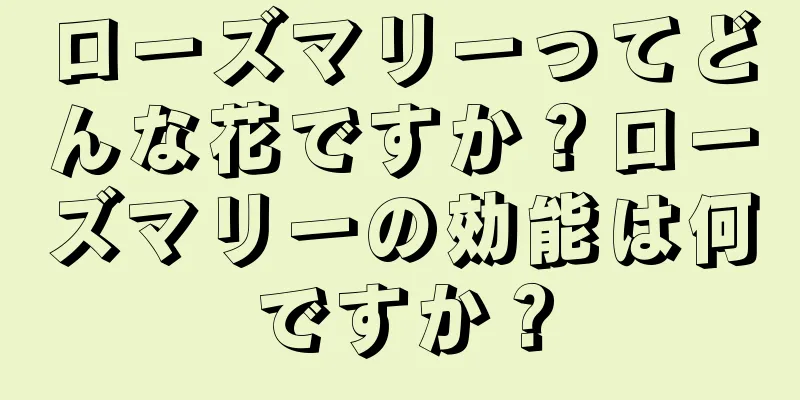 ローズマリーってどんな花ですか？ローズマリーの効能は何ですか？