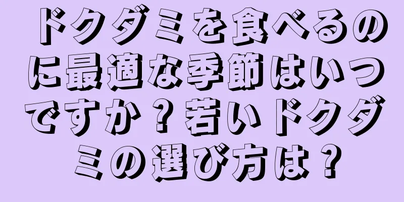 ドクダミを食べるのに最適な季節はいつですか？若いドクダミの選び方は？