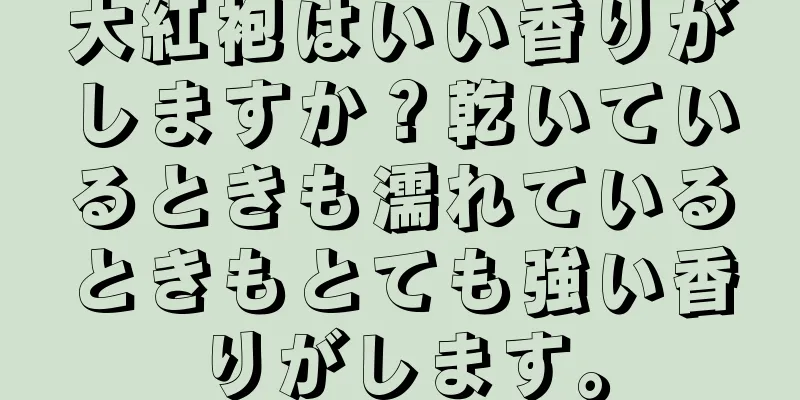 大紅袍はいい香りがしますか？乾いているときも濡れているときもとても強い香りがします。