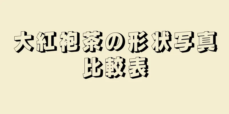 大紅袍茶の形状写真比較表