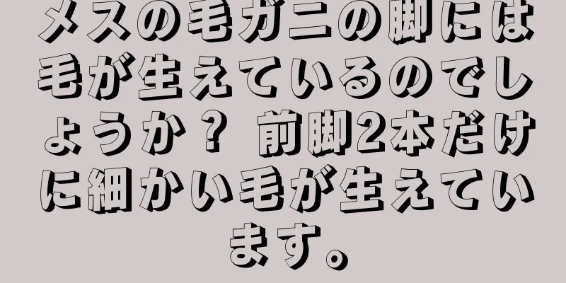 メスの毛ガニの脚には毛が生えているのでしょうか？ 前脚2本だけに細かい毛が生えています。