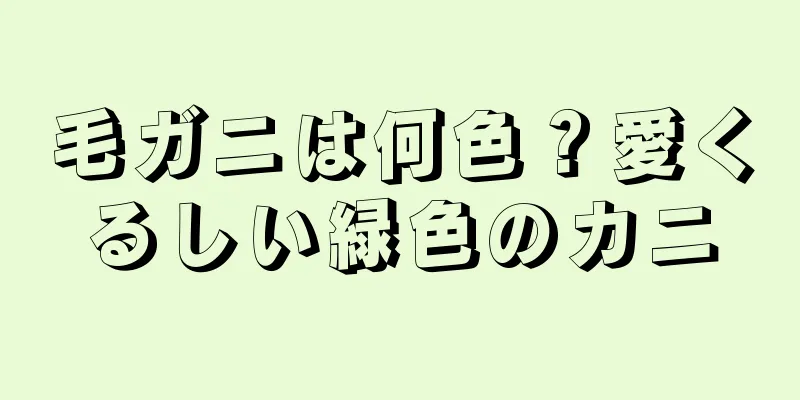 毛ガニは何色？愛くるしい緑色のカニ