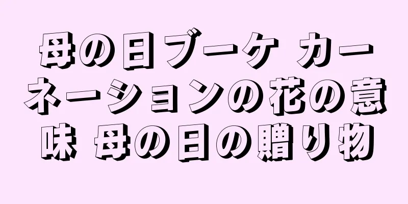 母の日ブーケ カーネーションの花の意味 母の日の贈り物