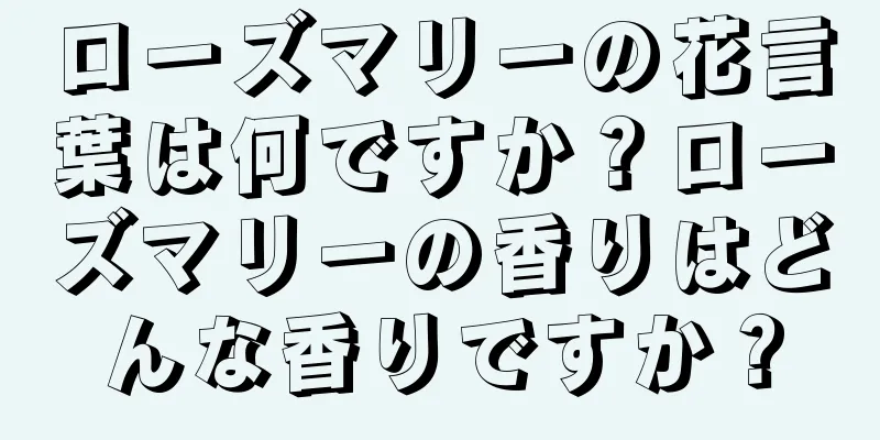 ローズマリーの花言葉は何ですか？ローズマリーの香りはどんな香りですか？
