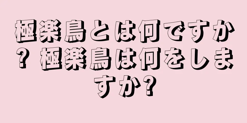 極楽鳥とは何ですか? 極楽鳥は何をしますか?