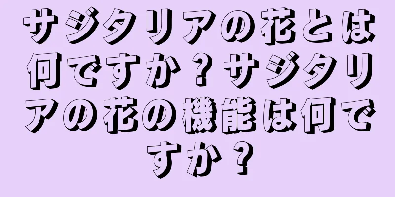 サジタリアの花とは何ですか？サジタリアの花の機能は何ですか？