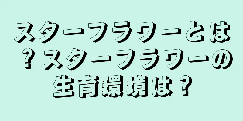 スターフラワーとは？スターフラワーの生育環境は？