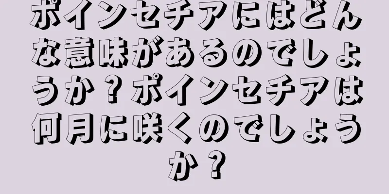 ポインセチアにはどんな意味があるのでしょうか？ポインセチアは何月に咲くのでしょうか？