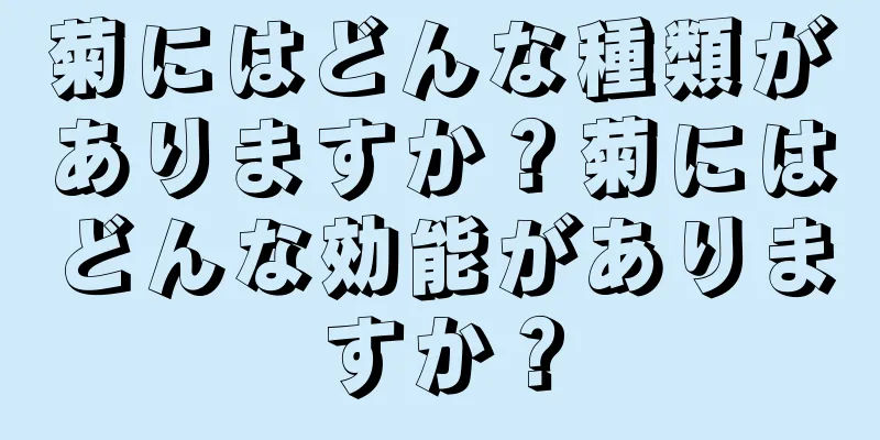 菊にはどんな種類がありますか？菊にはどんな効能がありますか？