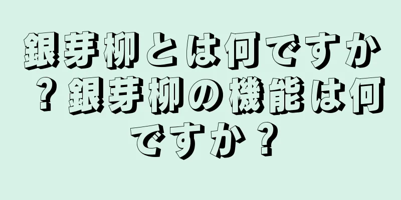 銀芽柳とは何ですか？銀芽柳の機能は何ですか？