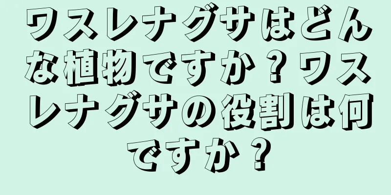 ワスレナグサはどんな植物ですか？ワスレナグサの役割は何ですか？