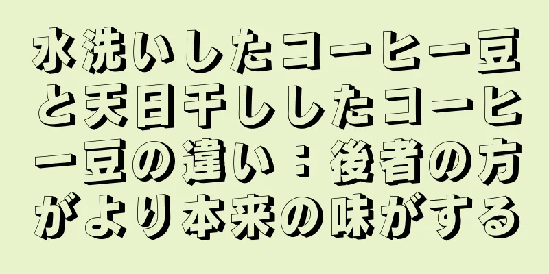 水洗いしたコーヒー豆と天日干ししたコーヒー豆の違い：後者の方がより本来の味がする
