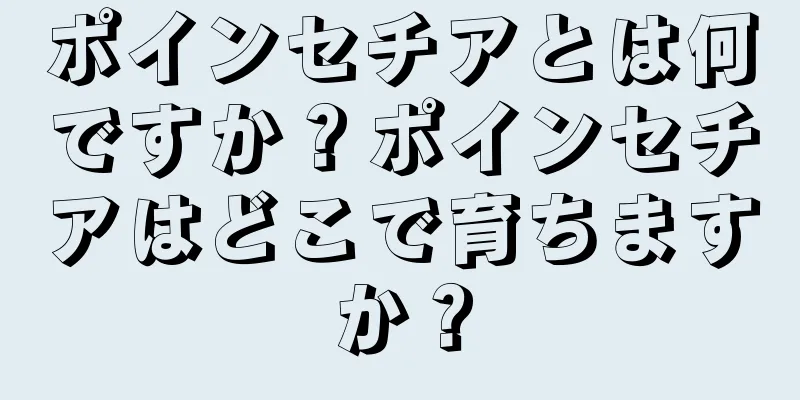 ポインセチアとは何ですか？ポインセチアはどこで育ちますか？