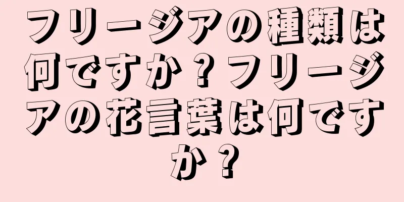 フリージアの種類は何ですか？フリージアの花言葉は何ですか？
