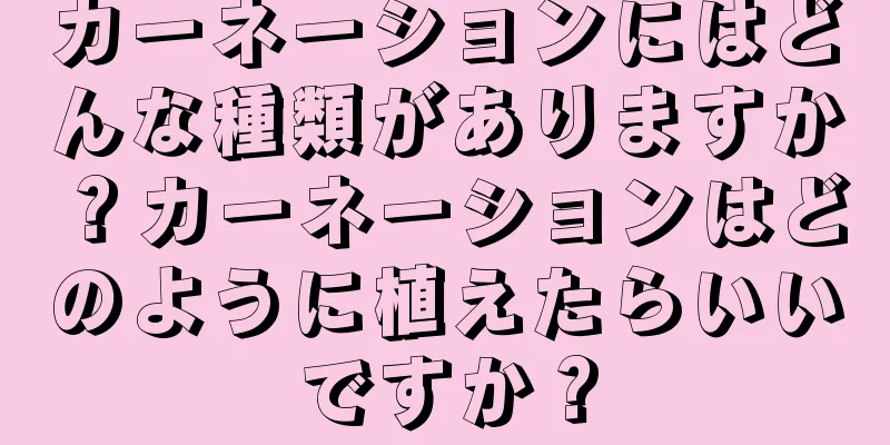 カーネーションにはどんな種類がありますか？カーネーションはどのように植えたらいいですか？