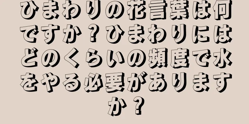 ひまわりの花言葉は何ですか？ひまわりにはどのくらいの頻度で水をやる必要がありますか？