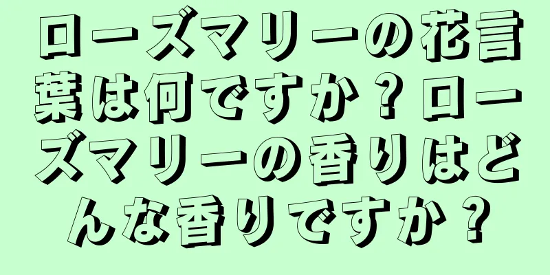 ローズマリーの花言葉は何ですか？ローズマリーの香りはどんな香りですか？