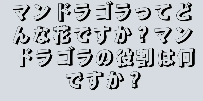 マンドラゴラってどんな花ですか？マンドラゴラの役割は何ですか？