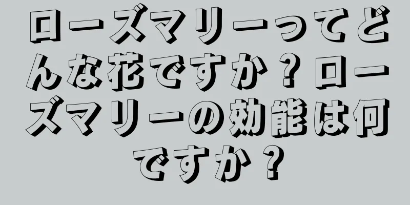 ローズマリーってどんな花ですか？ローズマリーの効能は何ですか？