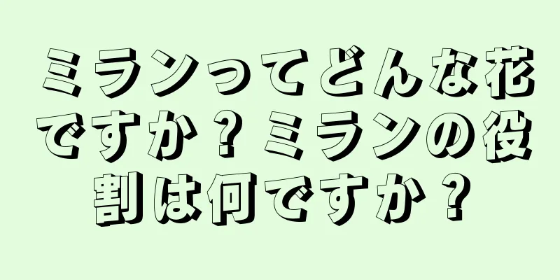 ミランってどんな花ですか？ミランの役割は何ですか？
