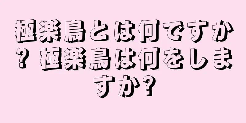 極楽鳥とは何ですか? 極楽鳥は何をしますか?