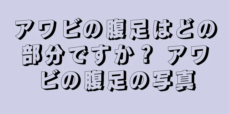 アワビの腹足はどの部分ですか？ アワビの腹足の写真