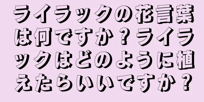 ライラックの花言葉は何ですか？ライラックはどのように植えたらいいですか？