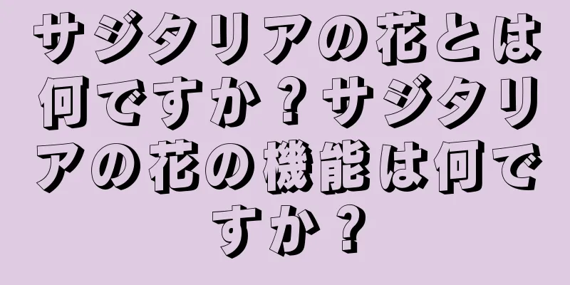 サジタリアの花とは何ですか？サジタリアの花の機能は何ですか？