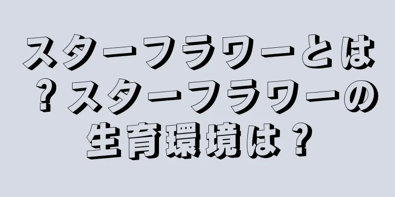 スターフラワーとは？スターフラワーの生育環境は？