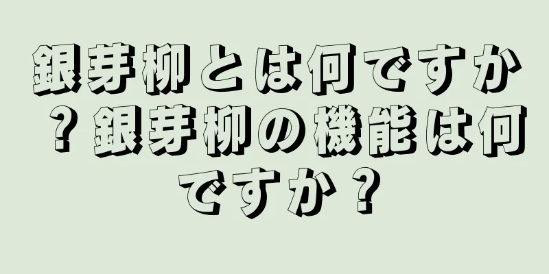 銀芽柳とは何ですか？銀芽柳の機能は何ですか？