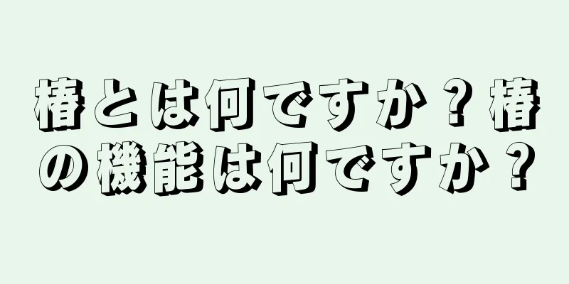 椿とは何ですか？椿の機能は何ですか？