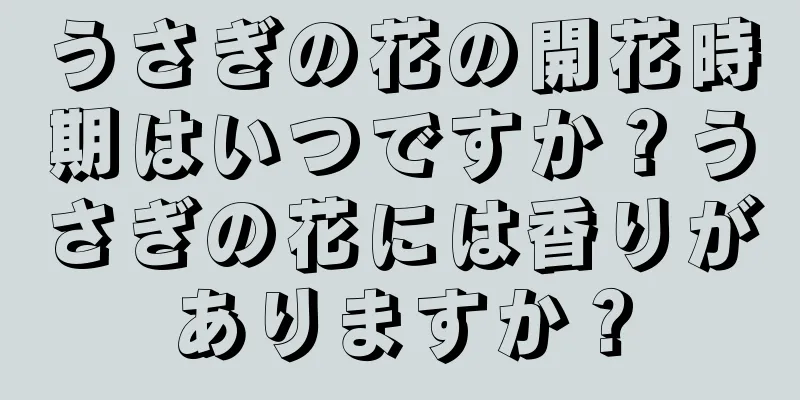 うさぎの花の開花時期はいつですか？うさぎの花には香りがありますか？