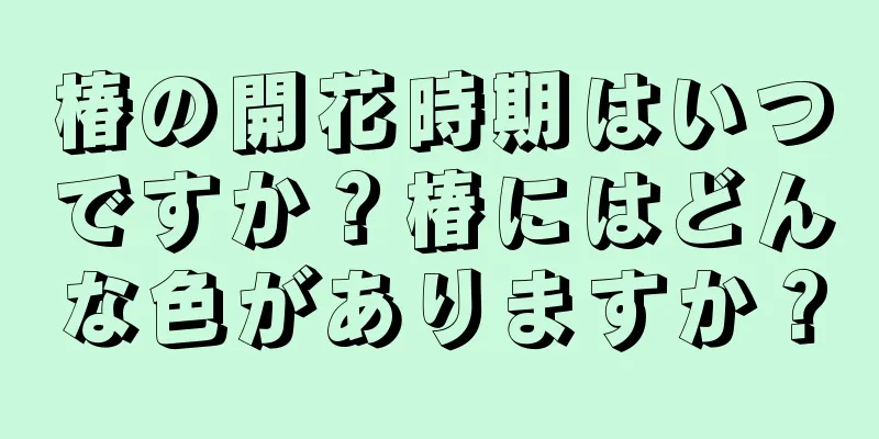 椿の開花時期はいつですか？椿にはどんな色がありますか？