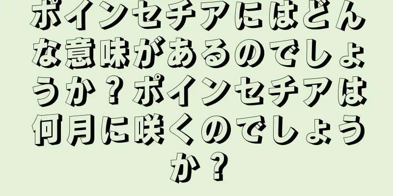 ポインセチアにはどんな意味があるのでしょうか？ポインセチアは何月に咲くのでしょうか？