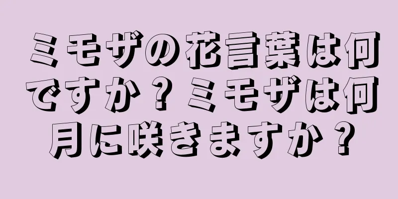 ミモザの花言葉は何ですか？ミモザは何月に咲きますか？