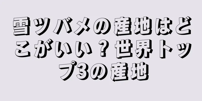 雪ツバメの産地はどこがいい？世界トップ3の産地