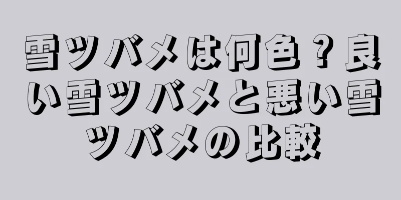 雪ツバメは何色？良い雪ツバメと悪い雪ツバメの比較