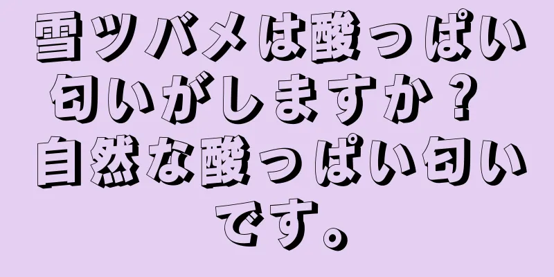 雪ツバメは酸っぱい匂いがしますか？ 自然な酸っぱい匂いです。