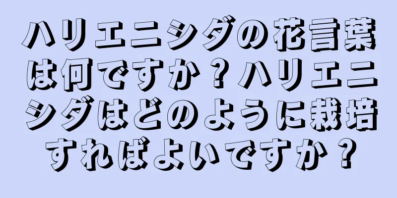 ハリエニシダの花言葉は何ですか？ハリエニシダはどのように栽培すればよいですか？
