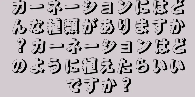 カーネーションにはどんな種類がありますか？カーネーションはどのように植えたらいいですか？