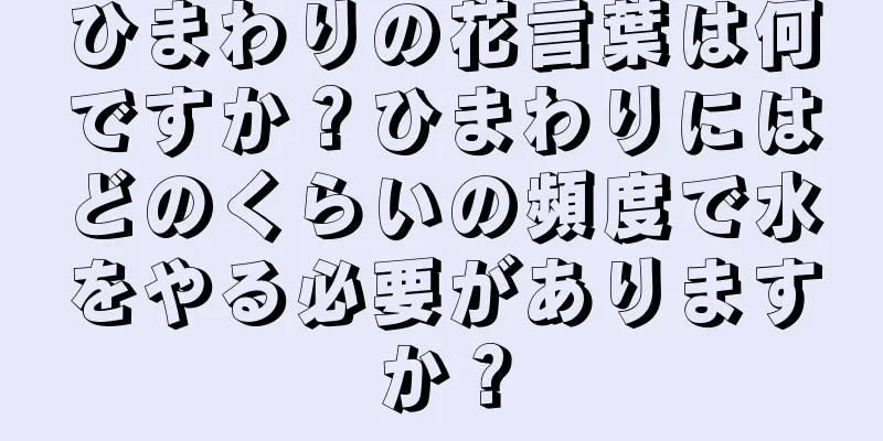 ひまわりの花言葉は何ですか？ひまわりにはどのくらいの頻度で水をやる必要がありますか？