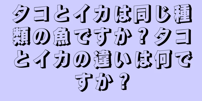 タコとイカは同じ種類の魚ですか？タコとイカの違いは何ですか？