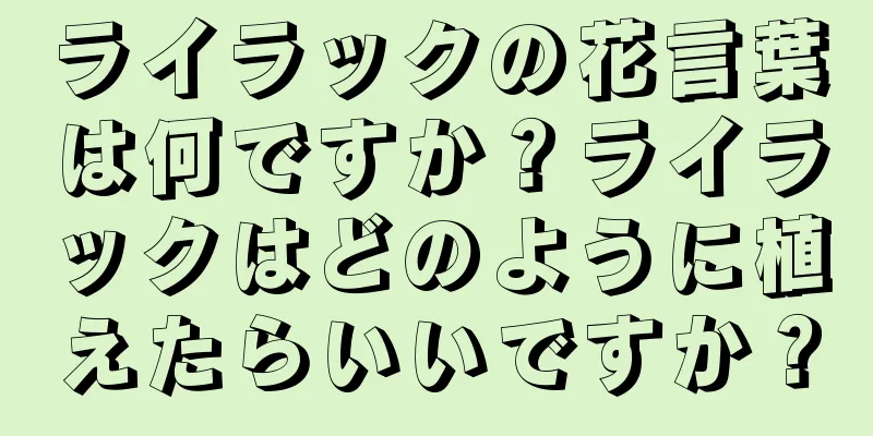 ライラックの花言葉は何ですか？ライラックはどのように植えたらいいですか？
