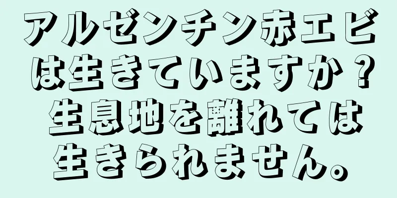 アルゼンチン赤エビは生きていますか？ 生息地を離れては生きられません。